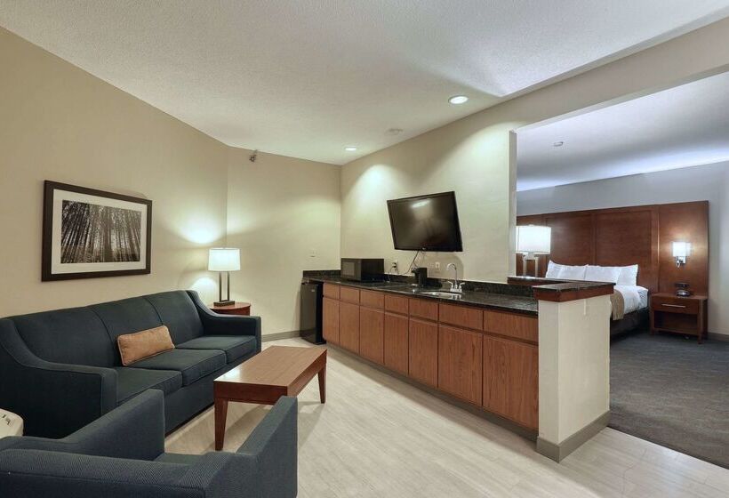 هتل Comfort Suites Appleton Airport