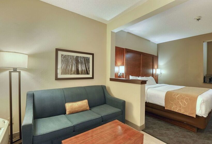 هتل Comfort Suites Appleton Airport