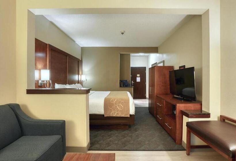 هتل Comfort Suites Appleton Airport
