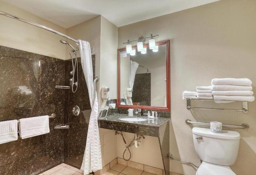 هتل Comfort Suites Appleton Airport