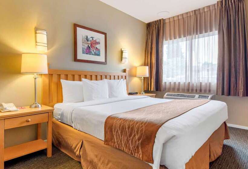 هتل Econo Lodge Inn & Suites