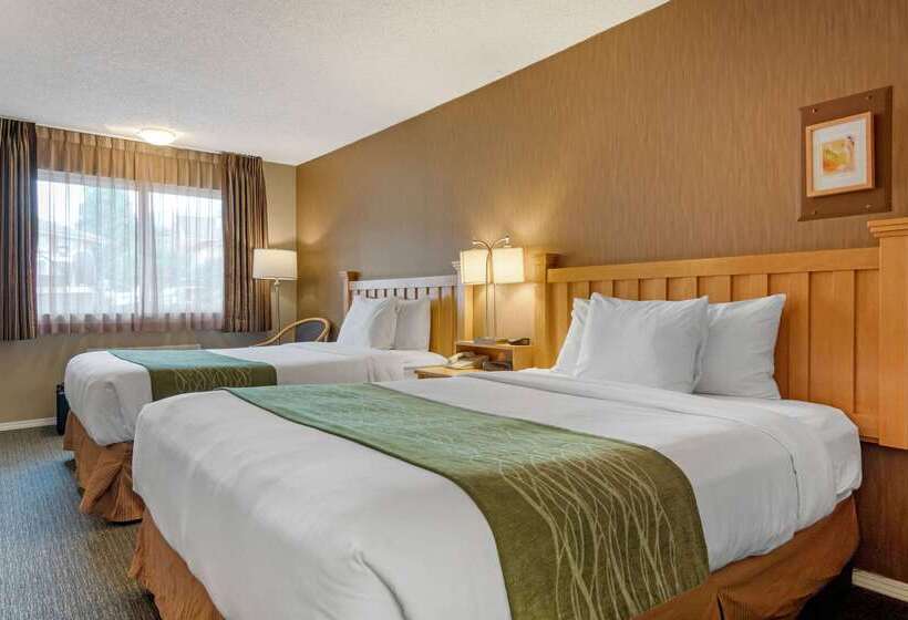 هتل Econo Lodge Inn & Suites