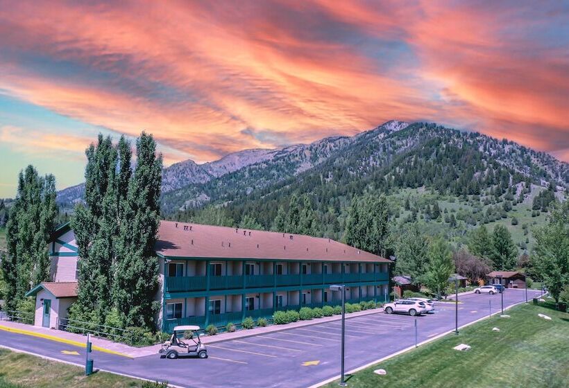 فندق Flying Saddle Resort And Steak House