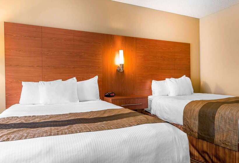 ホテル Quality Inn & Suites