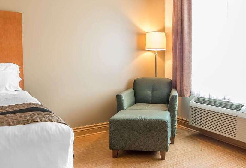 ホテル Quality Inn & Suites