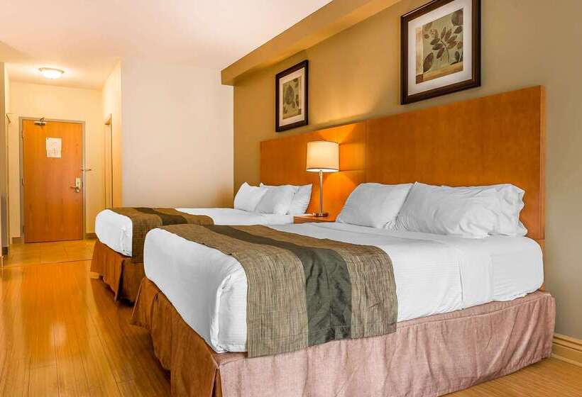 ホテル Quality Inn & Suites