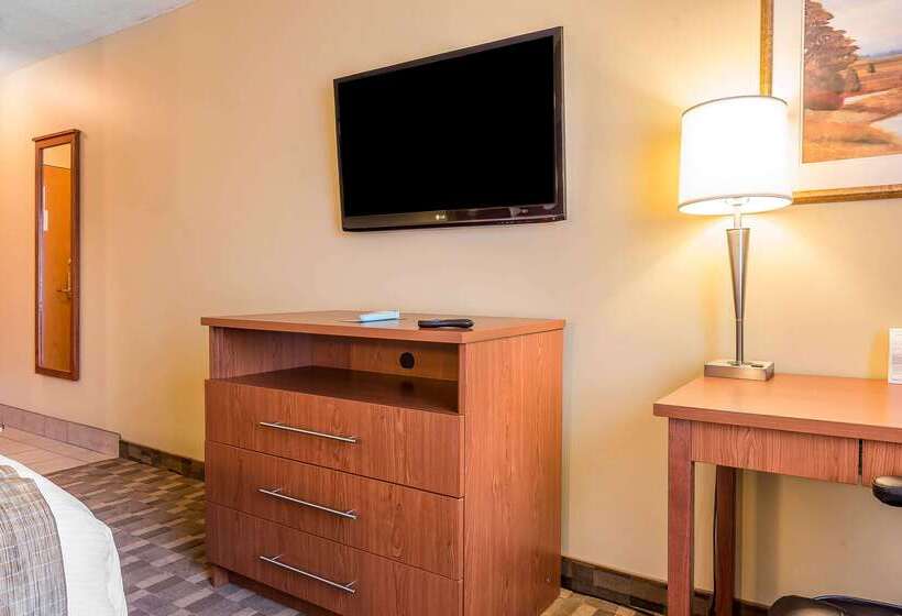 ホテル Quality Inn & Suites