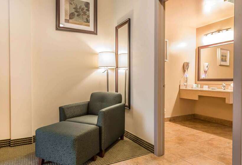 ホテル Quality Inn & Suites