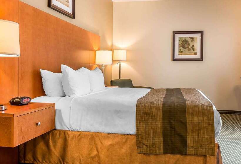 ホテル Quality Inn & Suites