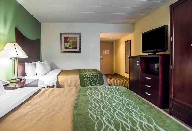 ホテル Quality Inn Mill Hall   Lamar