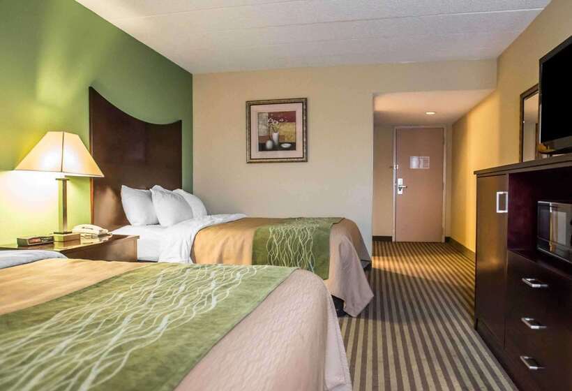 ホテル Quality Inn Mill Hall   Lamar