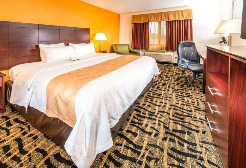 酒店 Quality Inn & Suites