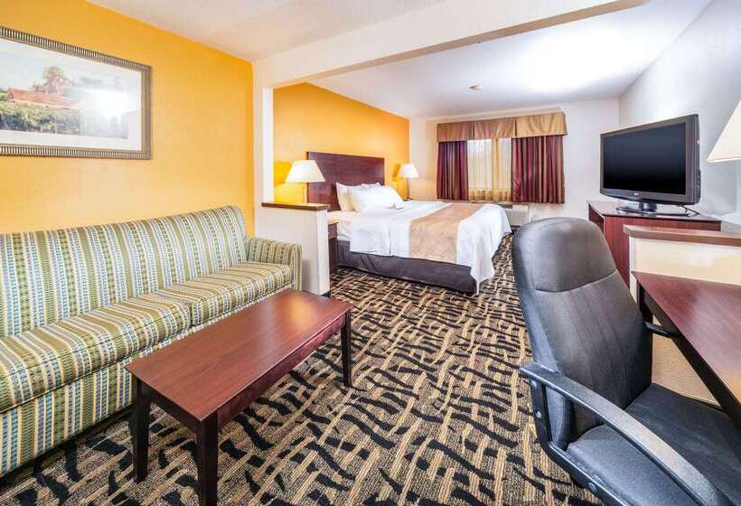 酒店 Quality Inn & Suites