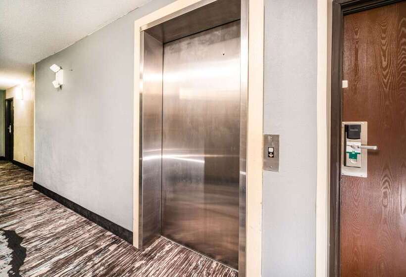 酒店 Quality Inn & Suites