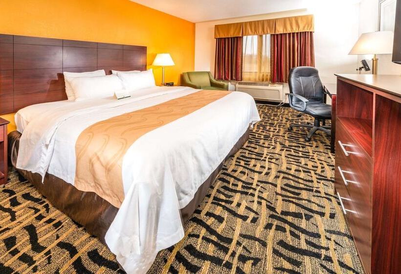 酒店 Quality Inn & Suites