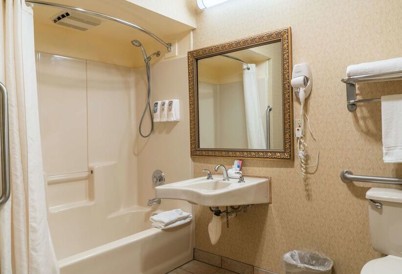 호텔 Best Western Inn & Suites