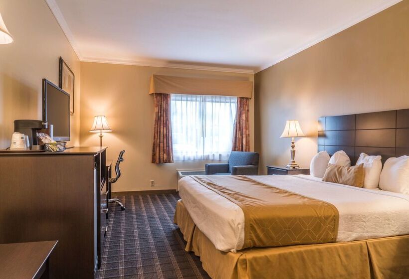 호텔 Best Western Inn & Suites