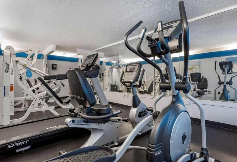 فندق Best Western Navarre Waterfront