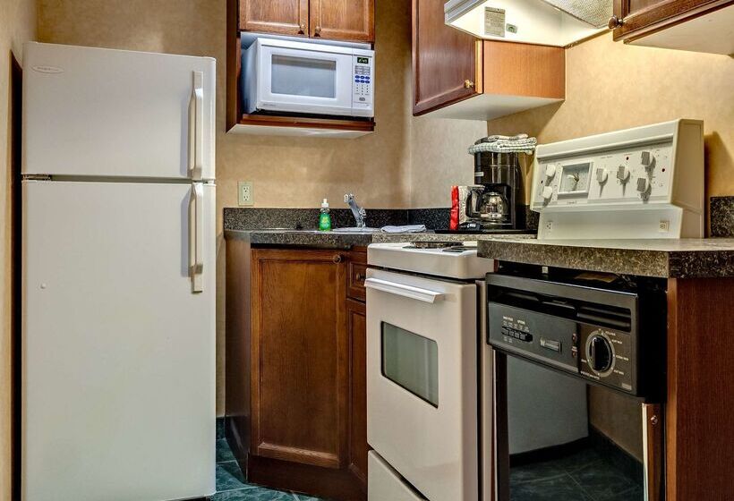 בית מלון כפרי Best Western Plus Suites Downtown Calgary