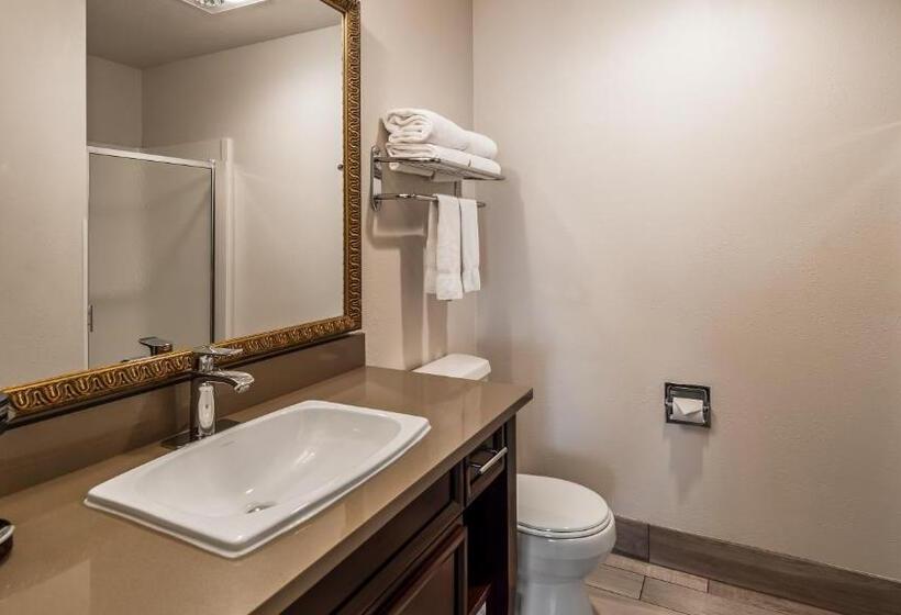호텔 Best Western Salbasgeon Inn & Suites