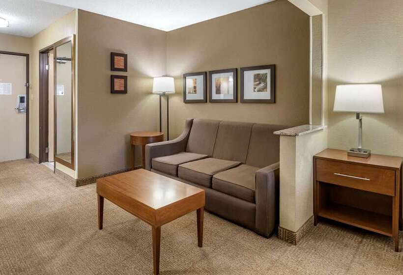 هتل Comfort Inn Moline  Quad Cities