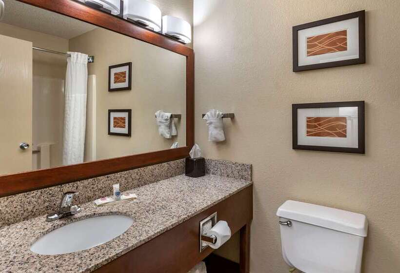 هتل Comfort Inn Moline  Quad Cities