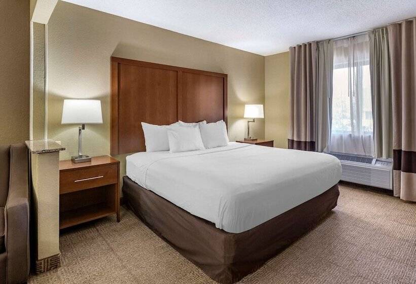 هتل Comfort Inn Moline  Quad Cities