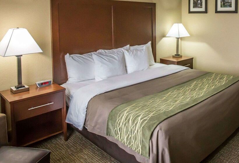 酒店 Comfort Inn Morris I80