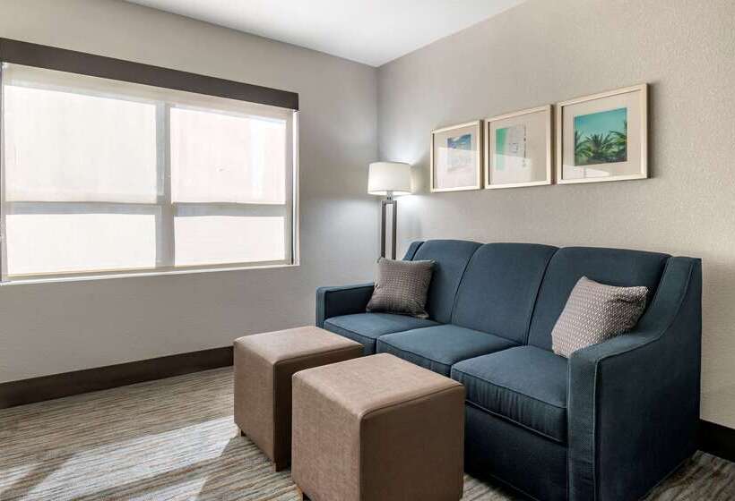 هتل Comfort Inn & Suites Downtown Brickell Port Of Miami