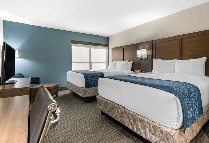 هتل Comfort Inn & Suites Downtown Brickell Port Of Miami