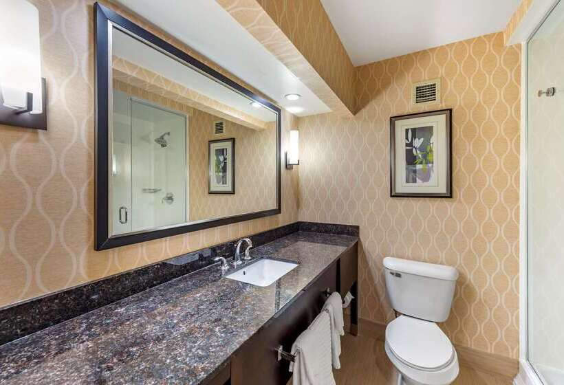 هتل Comfort Suites Chesapeake  Norfolk