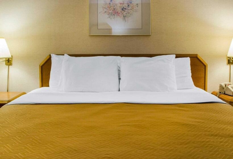 בית מלון כפרי Econo Lodge