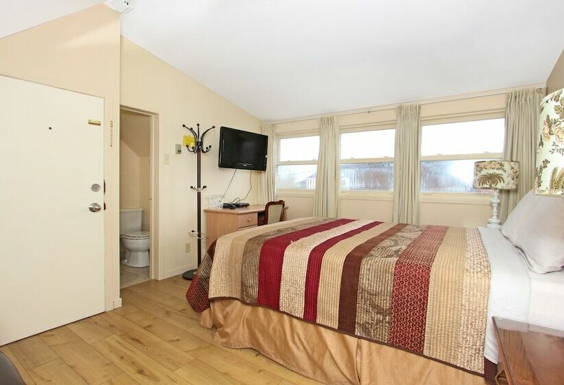 فندق Gower Guest House