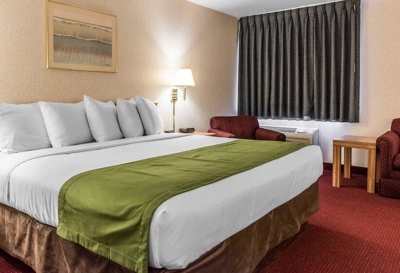 ホテル Quality Inn Arena