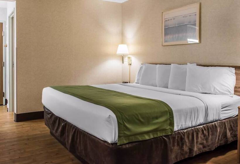 ホテル Quality Inn Arena