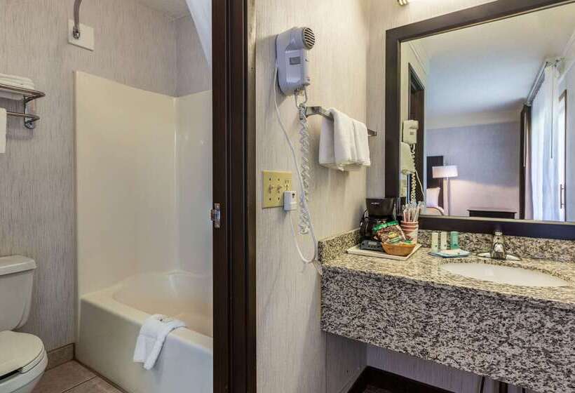 בית מלון כפרי Quality Inn Lakefront