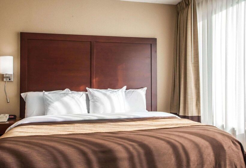 酒店 Quality Inn & Suites Orland Park   Chicago