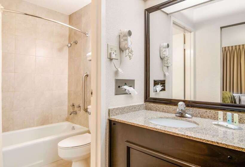 בית מלון כפרי Quality Inn Suwanee I85