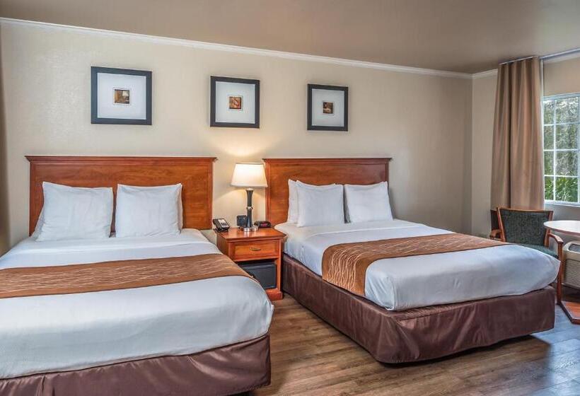 فندق The Inn At 1252 Monterey