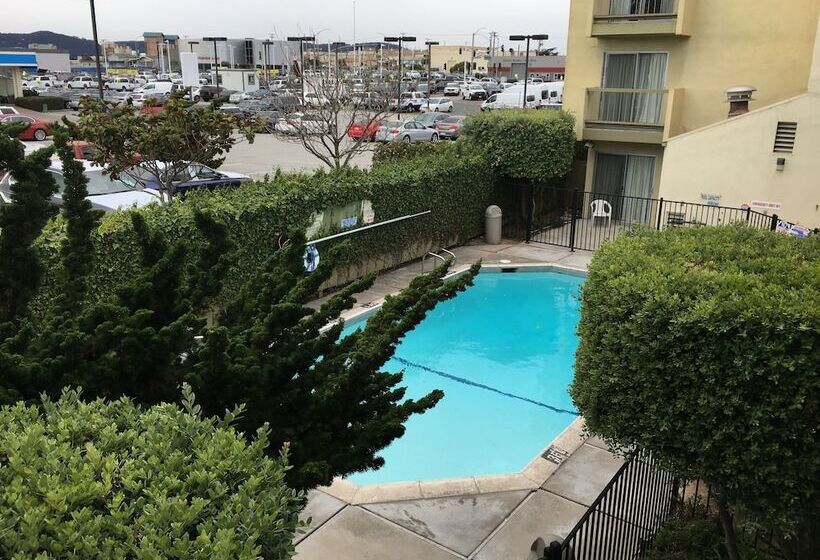 فندق Sand Dollar Inn