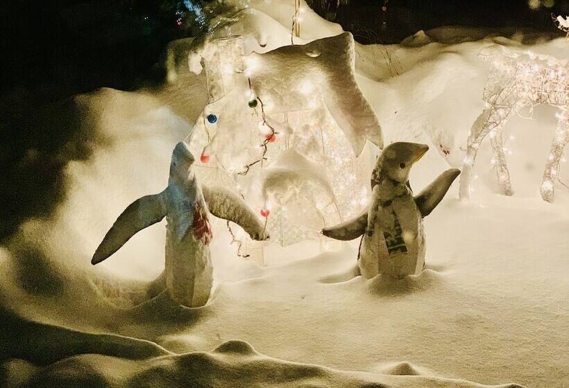 מוטל Barefoot Villas And Retreat