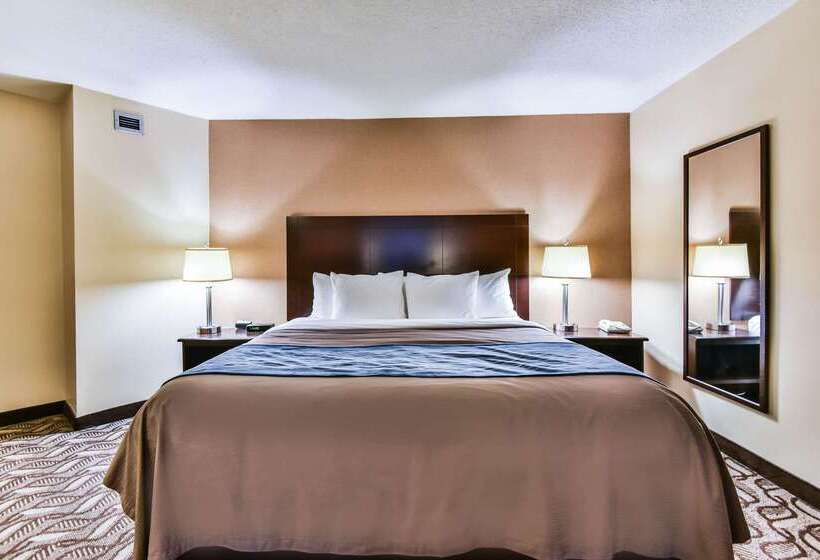 هتل Comfort Inn & Suites Ambassador Bridge