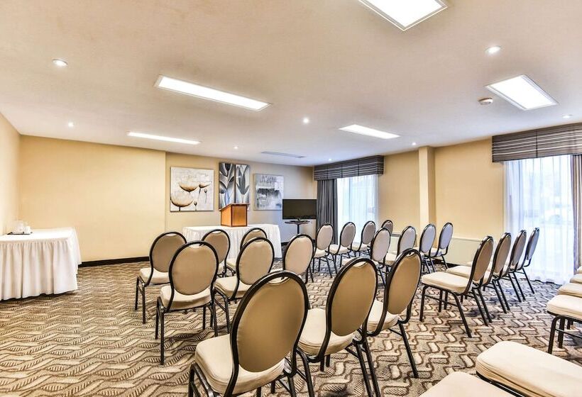 هتل Comfort Inn & Suites Ambassador Bridge