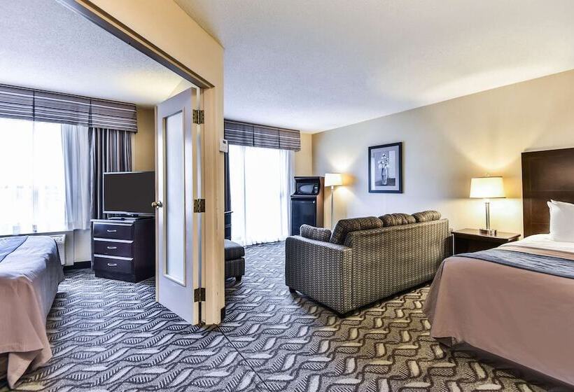 هتل Comfort Inn & Suites Ambassador Bridge