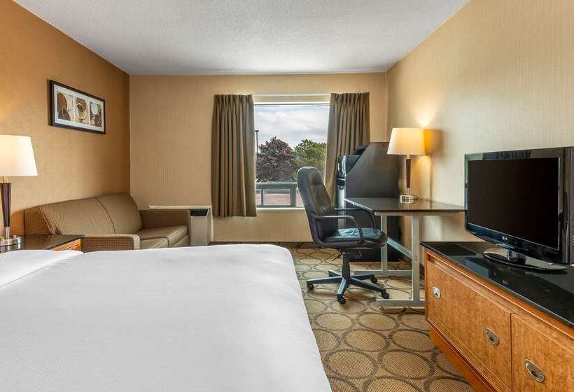 هتل Comfort Inn East