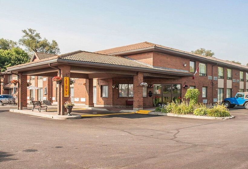 酒店 Comfort Inn