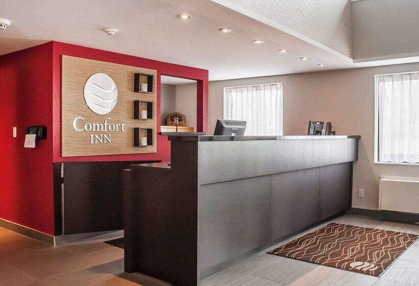 酒店 Comfort Inn
