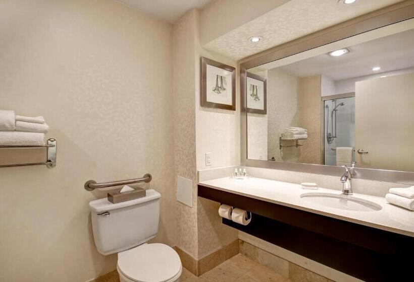 هتل Holiday Inn & Suites Windsor Ambassador Bridge By Ihg