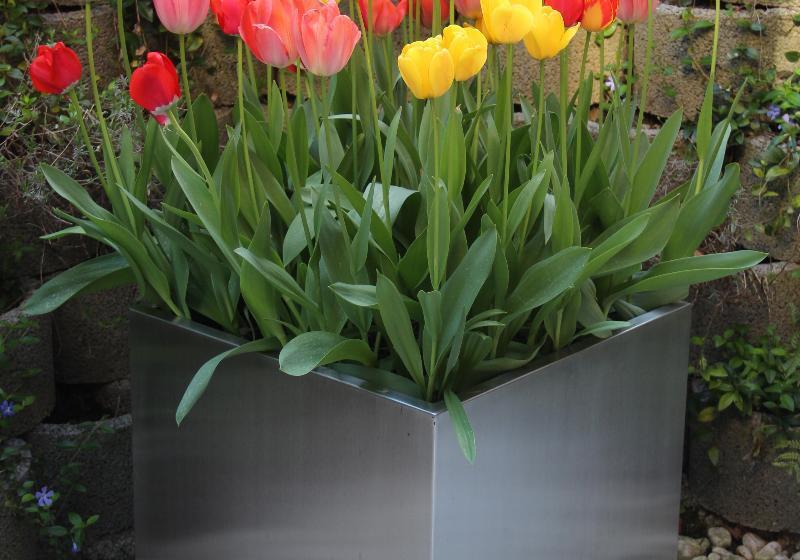 فندق Tulip Inn Beaulieu Lausanne