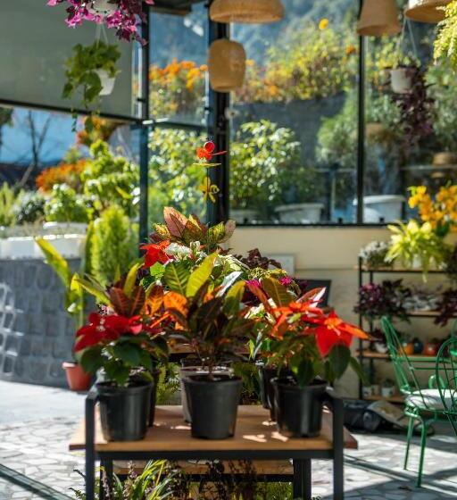 בית מלון כפרי Shervani Hilltop Resort